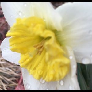 Meet your Posher, Michele